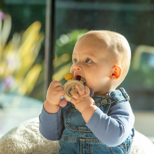 SiliSoft® Rattle Teether (Earth)