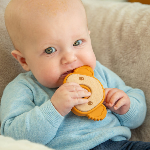 SiliSoft® Koala Wooden Teether