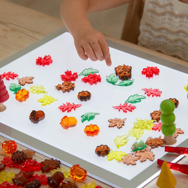 Translucent Colour Leaves & Seeds