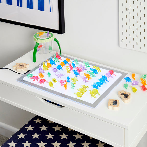 Translucent Colour Dinosaurs