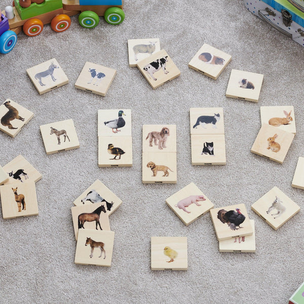 Domestic Animal Family Match