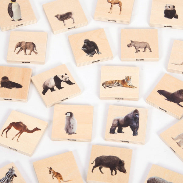 Wild Family Animal Match