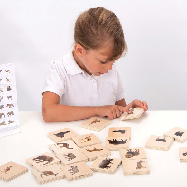 Wild Family Animal Match