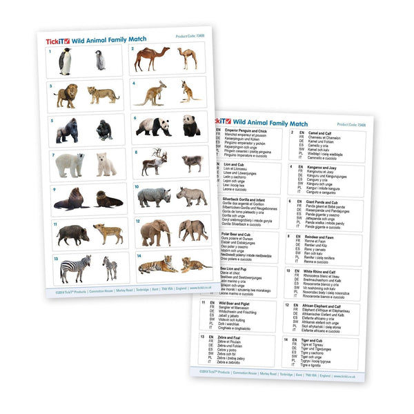 Wild Family Animal Match