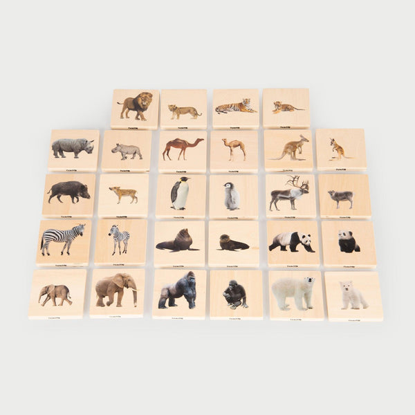 Wild Family Animal Match