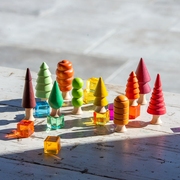 Seasonal Woodland Trees