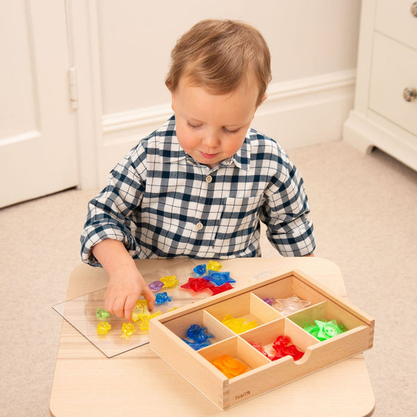 Wooden Sorting Box