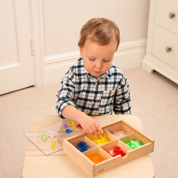 Wooden Sorting Box