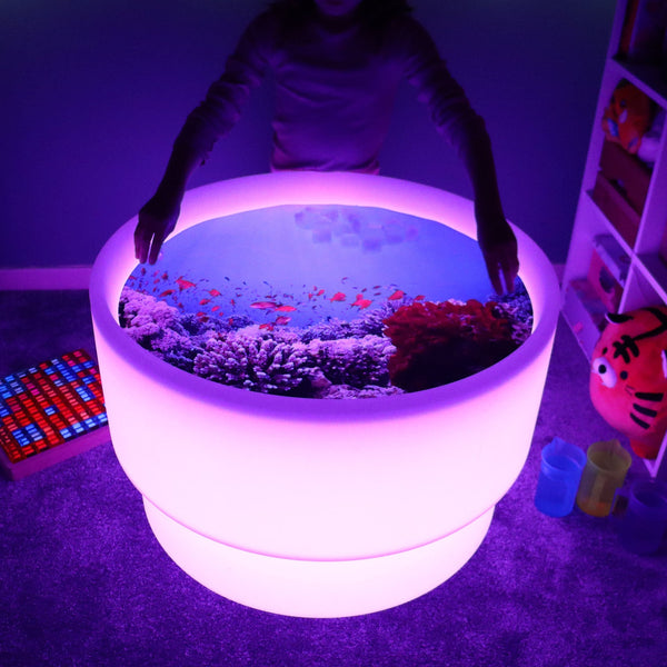 Under The Sea Discovery Play Mat