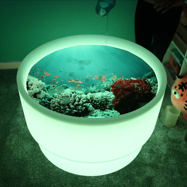 Under The Sea Discovery Play Mat