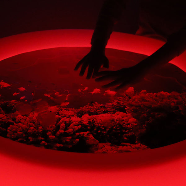 Under The Sea Discovery Play Mat