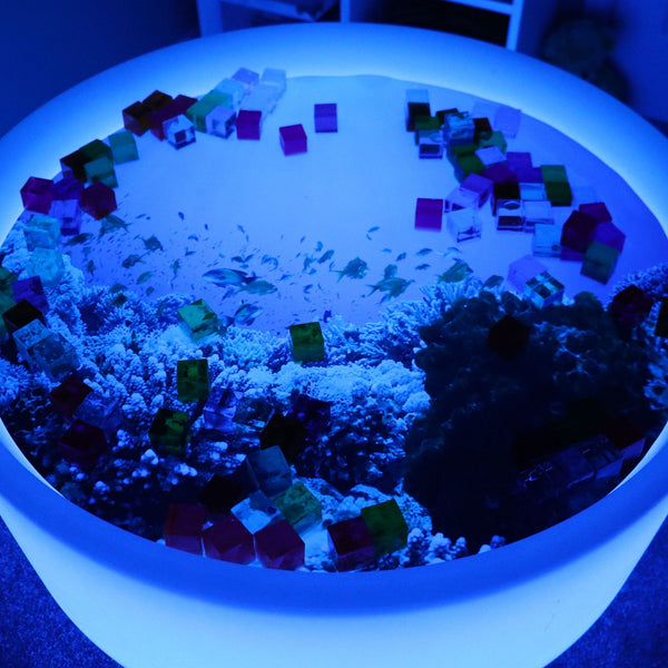 Under The Sea Discovery Play Mat