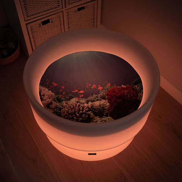 Under The Sea Discovery Play Mat