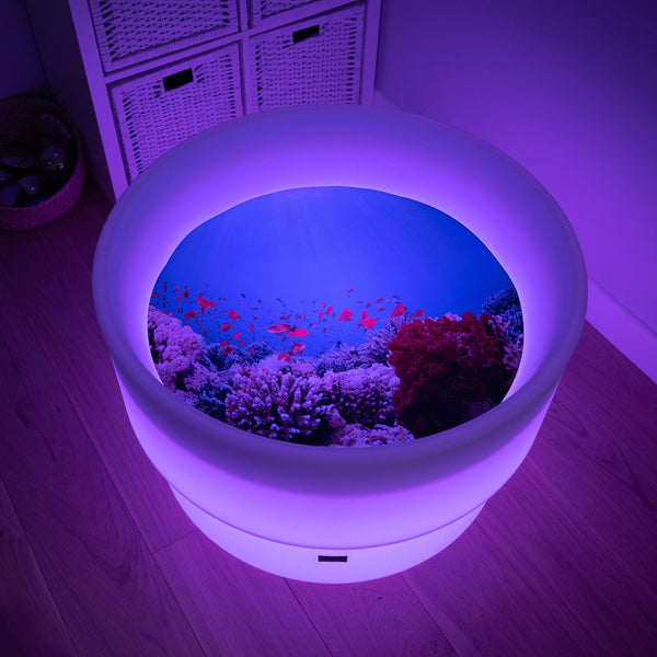 Under The Sea Discovery Play Mat