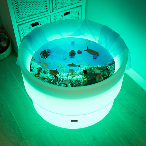 Under The Sea Discovery Play Mat