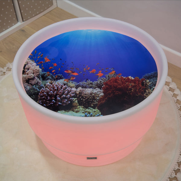 Under The Sea Discovery Play Mat