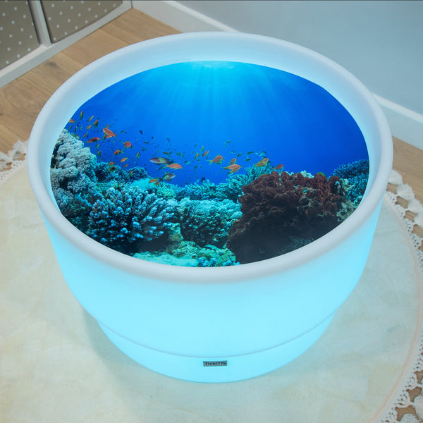 Under The Sea Discovery Play Mat