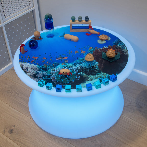 Under The Sea Discovery Play Mat