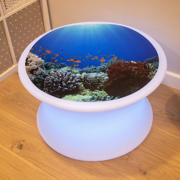 Under The Sea Discovery Play Mat