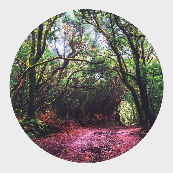 Discovery Glow Table & Forest Discovery Play Mat