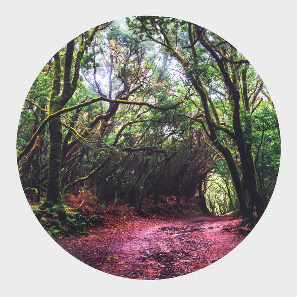 Discovery Glow Table & Forest Discovery Play Mat