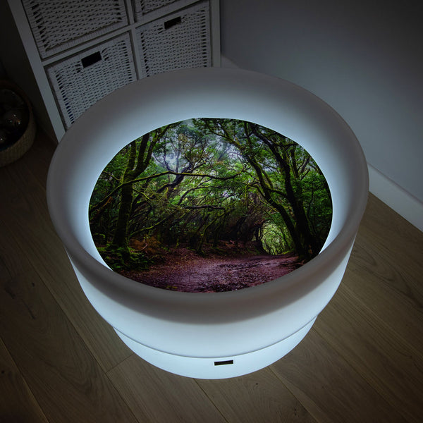 Discovery Glow Table & Forest Discovery Play Mat