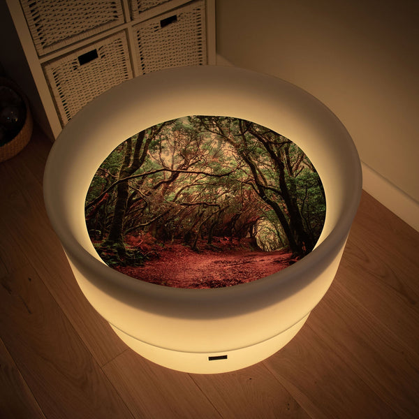 Forest Discovery Play Mat