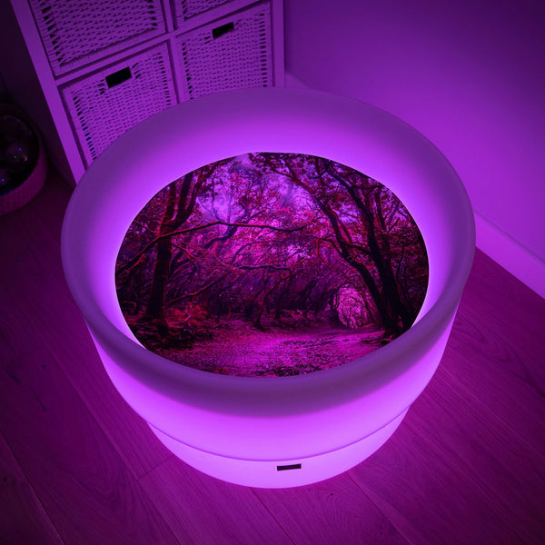 Forest Discovery Play Mat