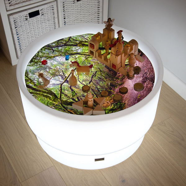 Forest Discovery Play Mat