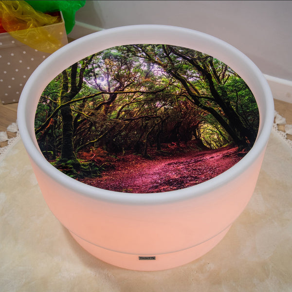 Forest Discovery Play Mat