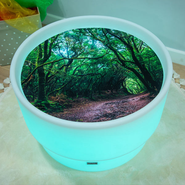 Forest Discovery Play Mat