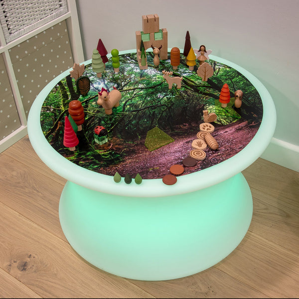 Forest Discovery Play Mat