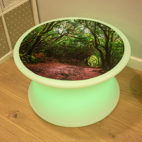 Forest Discovery Play Mat