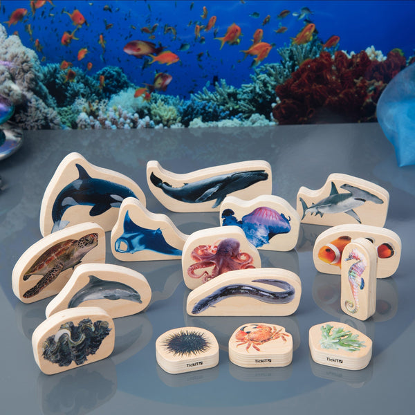 Wooden Sea Life Blocks