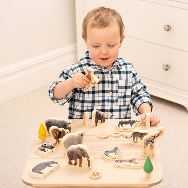 Wooden Wild Animal Blocks