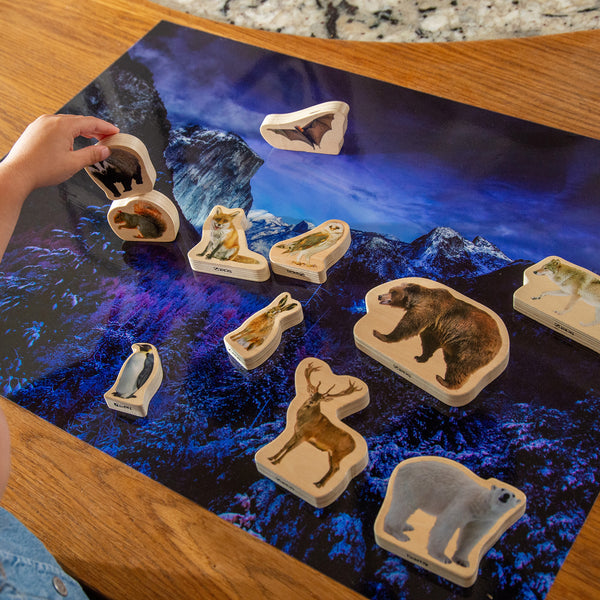 Winter Valley A2 Play Mat