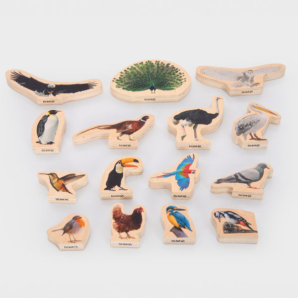 Wooden Bird Blocks