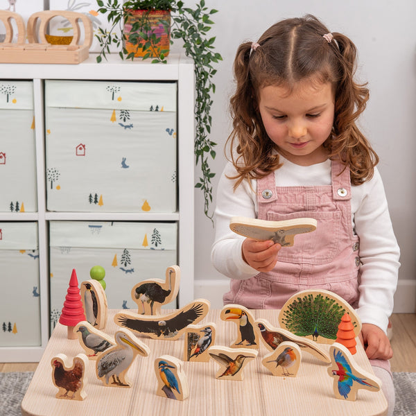 Wooden Bird Blocks