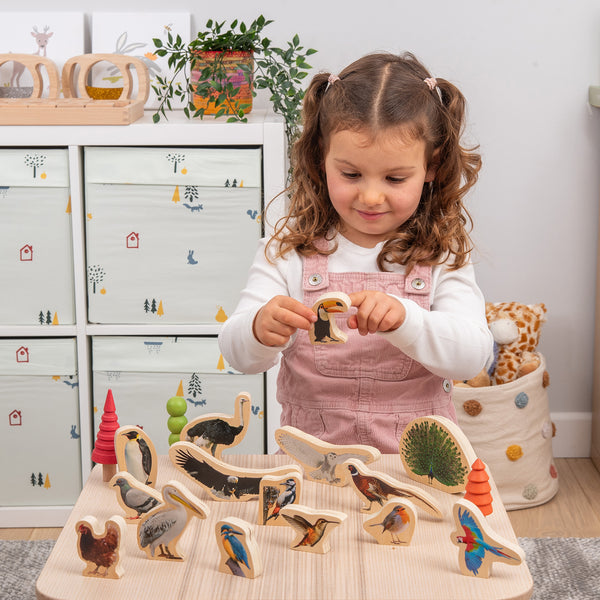 Wooden Bird Blocks