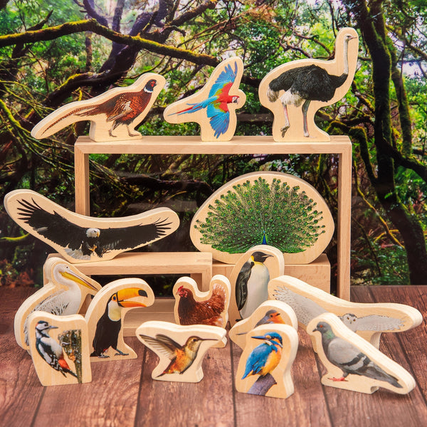 Wooden Bird Blocks