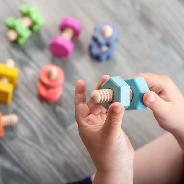 Rainbow Wooden Nuts & Bolts