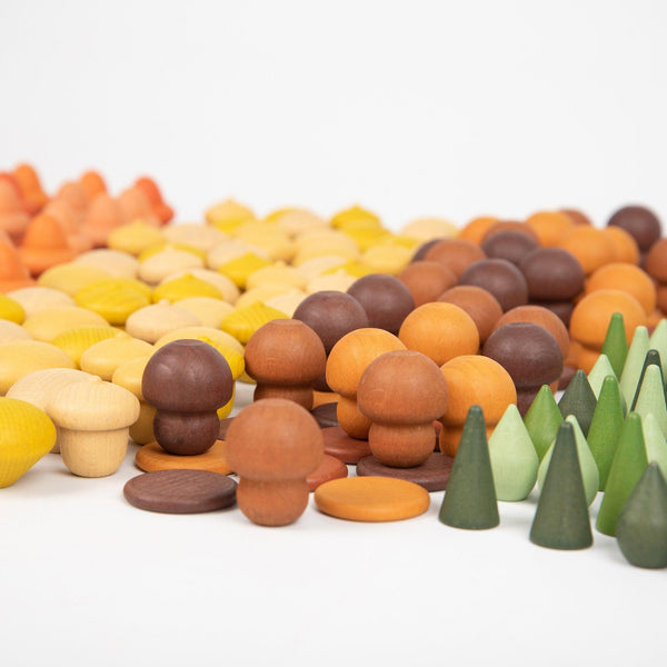 Wooden Treasures Super Set