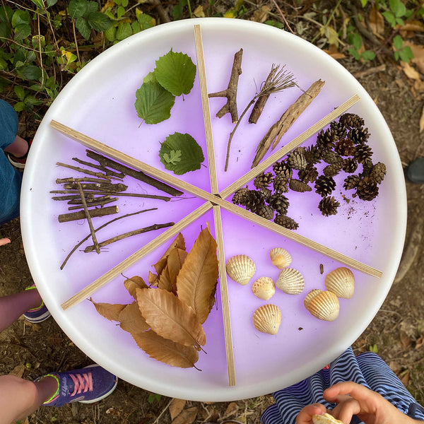 Discovery Glow Table & Wooden Divider Set