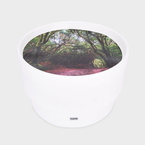 Discovery Glow Table & Forest Discovery Play Mat