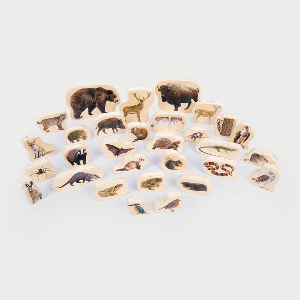 Wooden Forest Animal Blocks