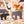 Animal Kingdom Layer Puzzle