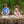 Animal Kingdom Layer Puzzle