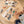 Animal Kingdom Layer Puzzle