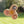 Silisoft Jumbo Spinner (Earth)