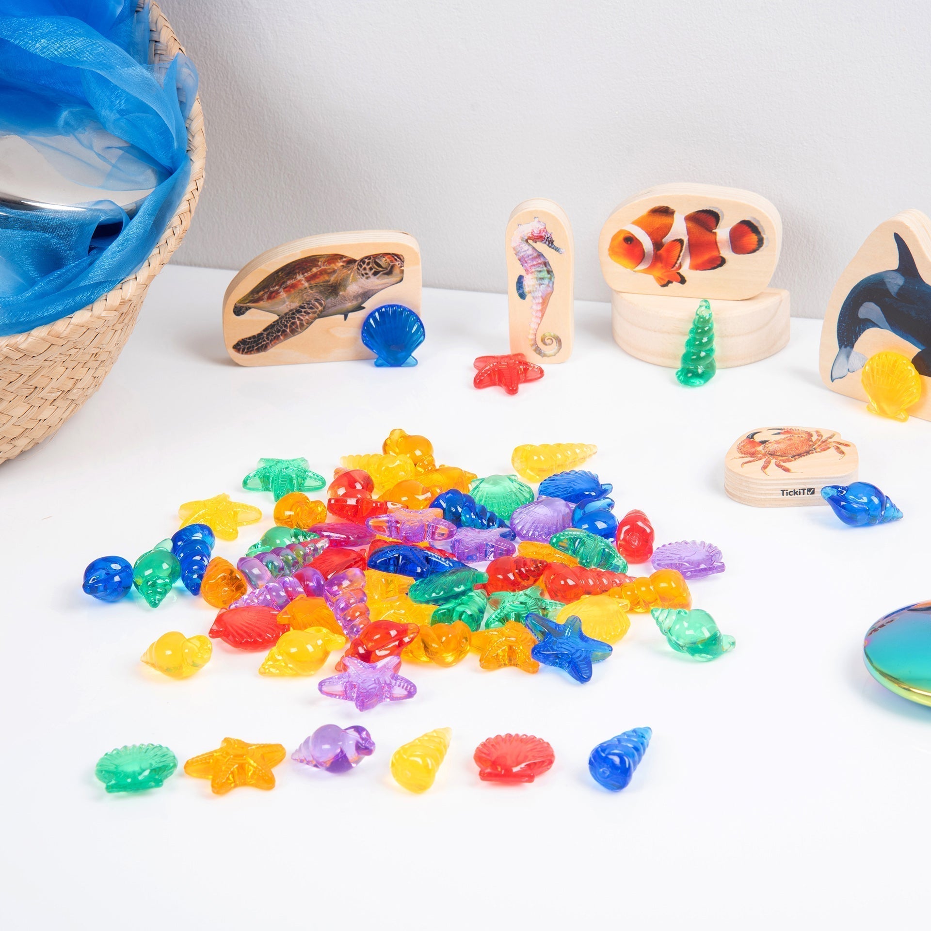 tickit® Translucent Colour Shells - Pack of 72